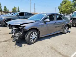 4T1B31HK9KU512391 2019 TOYOTA CAMRY