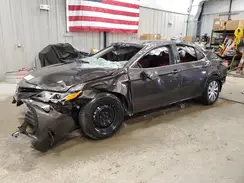 4T1B31HK9KU512438 2019 TOYOTA CAMRY