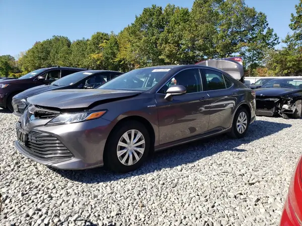 4T1B31HK9KU512469 2019 TOYOTA CAMRY - Image 1