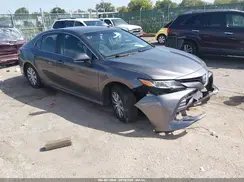 4T1B31HK9KU512567 2019 TOYOTA CAMRY