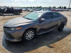 4T1B31HK9KU513508 2019 TOYOTA CAMRY