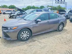 4T1B31HK9KU516568 2019 TOYOTA CAMRY
