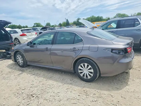 4T1B31HK9KU516568 2019 TOYOTA CAMRY - Image 2