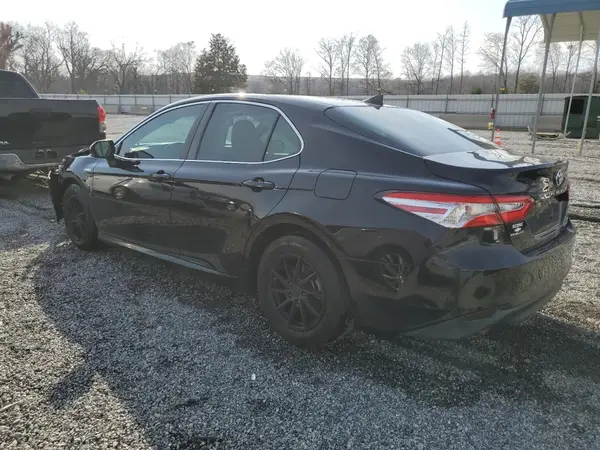 4T1B31HK9KU516943 2019 TOYOTA CAMRY - Image 2