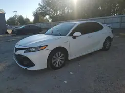 4T1B31HK9KU517574 2019 TOYOTA CAMRY
