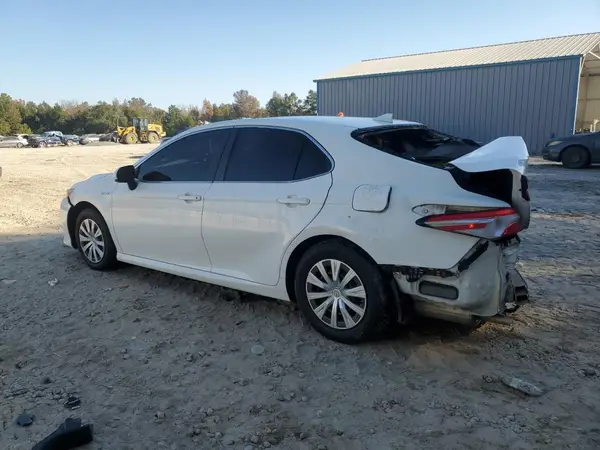 4T1B31HK9KU517574 2019 TOYOTA CAMRY - Image 2