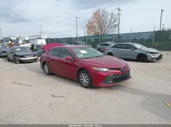 4T1B31HK9KU517669 2019 TOYOTA CAMRY