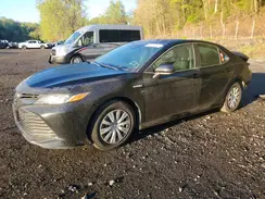 4T1B31HKXKU006682 2019 TOYOTA CAMRY