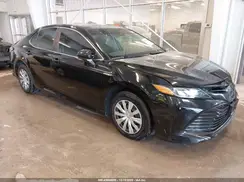 4T1B31HKXKU006696 2019 TOYOTA CAMRY