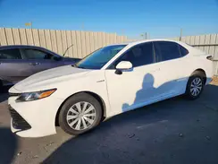 4T1B31HKXKU008822 2019 TOYOTA CAMRY