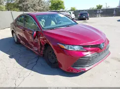 4T1B31HKXKU508950 2019 TOYOTA CAMRY
