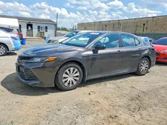 4T1B31HKXKU509127 2019 TOYOTA CAMRY