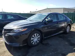 4T1B31HKXKU509337 2019 TOYOTA CAMRY
