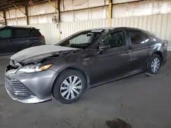 4T1B31HKXKU509371 2019 TOYOTA CAMRY