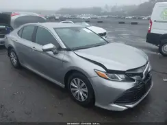 4T1B31HKXKU509516 2019 TOYOTA CAMRY