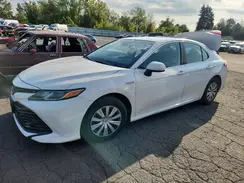 4T1B31HKXKU509564 2019 TOYOTA CAMRY