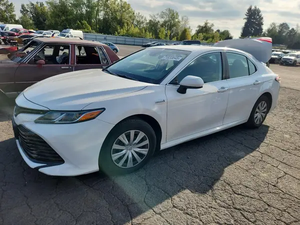 4T1B31HKXKU509564 2019 TOYOTA CAMRY - Image 1