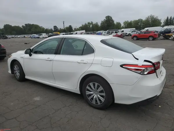 4T1B31HKXKU509564 2019 TOYOTA CAMRY - Image 2