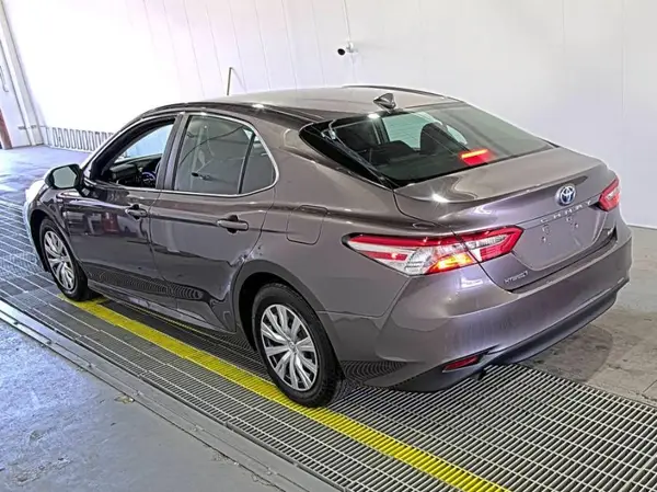 4T1B31HKXKU509922 2019 TOYOTA CAMRY - Image 2
