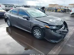 4T1B31HKXKU510519 2019 TOYOTA CAMRY