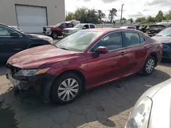 4T1B31HKXKU511007 2019 TOYOTA CAMRY