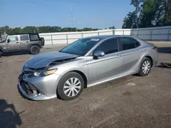 4T1B31HKXKU513355 2019 TOYOTA CAMRY