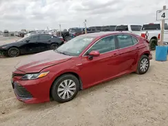 4T1B31HKXKU515106 2019 TOYOTA CAMRY