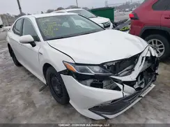 4T1B31HKXKU515848 2019 TOYOTA CAMRY