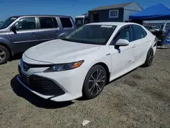 4T1B31HKXKU516238 2019 TOYOTA CAMRY