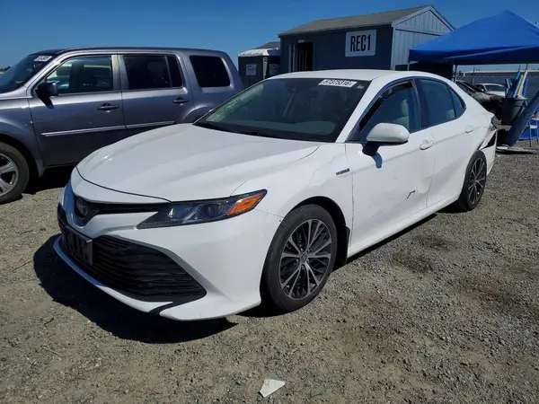 4T1B31HKXKU516238 2019 TOYOTA CAMRY - Image 1
