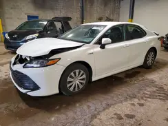 4T1B31HKXKU517101 2019 TOYOTA CAMRY