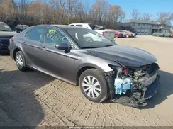 4T1B31HKXKU517812 2019 TOYOTA CAMRY