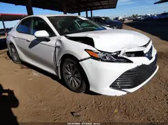 4T1B31HKXKU517826 2019 TOYOTA CAMRY