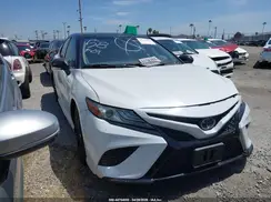 4T1B61HK0KU167565 2019 TOYOTA CAMRY