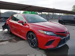 4T1B61HK0KU233466 2019 TOYOTA CAMRY