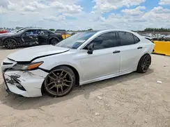 4T1B61HK0KU712955 2019 TOYOTA CAMRY