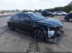 4T1B61HK0KU781564 2019 TOYOTA CAMRY