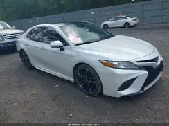 4T1B61HK0KU809010 2019 TOYOTA CAMRY