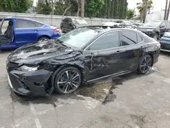4T1B61HK1KU169339 2019 TOYOTA CAMRY