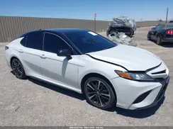 4T1B61HK1KU173892 2019 TOYOTA CAMRY