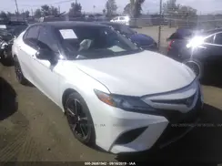 4T1B61HK1KU217678 2019 TOYOTA CAMRY