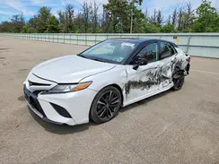 4T1B61HK1KU223688 2019 TOYOTA CAMRY