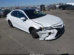 4T1B61HK1KU701253 2019 TOYOTA CAMRY