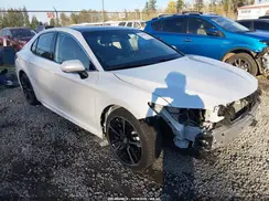 4T1B61HK1KU731059 2019 TOYOTA CAMRY