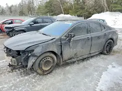 4T1B61HK1KU772839 2019 TOYOTA CAMRY