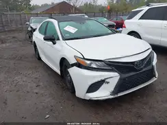 4T1B61HK1KU823093 2019 TOYOTA CAMRY