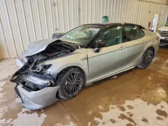 4T1B61HK2KU191558 2019 TOYOTA CAMRY