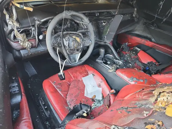 4T1B61HK2KU256621 2019 TOYOTA CAMRY - Image 8