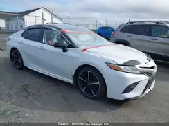 4T1B61HK3KU254361 2019 TOYOTA CAMRY