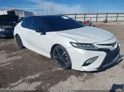 4T1B61HK3KU259513 2019 TOYOTA CAMRY
